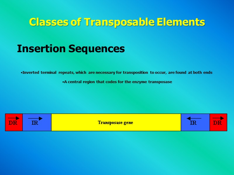 Classes of Transposable Elements   Insertion Sequences   Inverted terminal repeats, which